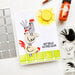 Catherine Pooler Designs - From The Farm Collection - Clear Photopolymer Stamps - Chicken In
