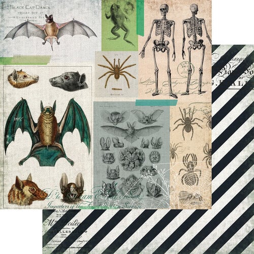 Fancy Pants Designs - Hallow's Eve Collection - 12 x 12 Double Sided Paper - Creepy And Crawly Fancy Pants Designs - Hallow's Eve Collection - 12 x 12 Double Sided Paper - Creepy And Crawly
