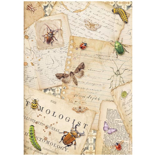 Stamperia - All Around Collection - A4 Rice Paper - Letters