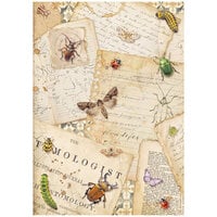 Stamperia - All Around Collection - A4 Rice Paper - Letters
